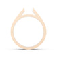 Single Stone Shank - AC SH03