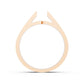 Single Stone Shank - AC SH04