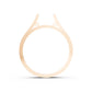 Single Stone Shank - AC SH40